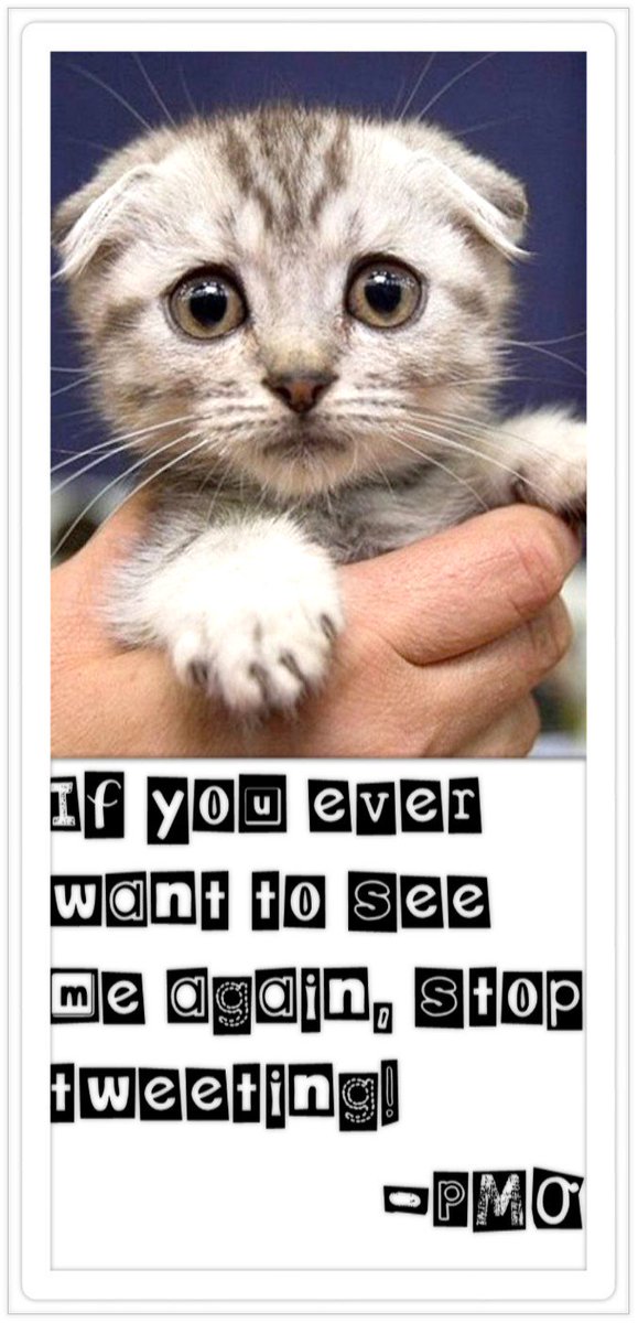 Joe Citizen tweet media