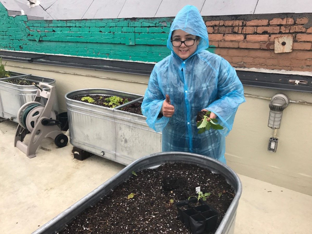 EcoSafeZW's tweet photo. Some pics from an #EcoSafe event ~ #compost buildout #LAcompost @Scotts_MGro @KelloggGarden & @USCompostingCou https://t.co/nXBGcYVI8u