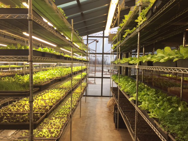 hardwaregastro's tweet photo. It's easy being GREEN  @hardwaregastro https://t.co/O2Li84pZnv