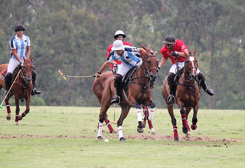 asocdepolo's tweet photo. Argentina venció a Perú y es el único líder de las Eliminatorias. (Foto: Gentileza
https://t.co/3rwCAjlkCY) https://t.co/YhJTibmHGo