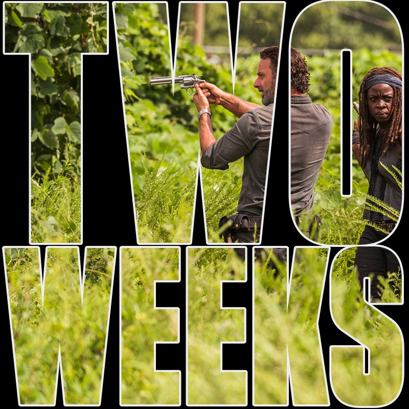 TheWalkingDead's tweet image. Don’t panic, but we’re officially only TWO WEEKS away from the return of #TheWalkingDead. We know, we know. Try not to alarm your neighbors