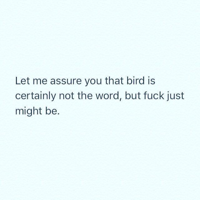 MsMelMcCurdie's tweet photo. Ugh #boymumblues #TheyNeverShutUp #Dudes #doyouevenbreathebro #lifewithboys 
#BirdIsNotTheWord #IKilledTheDamnedBird #Fuck https://t.co/1DiREpiQy9