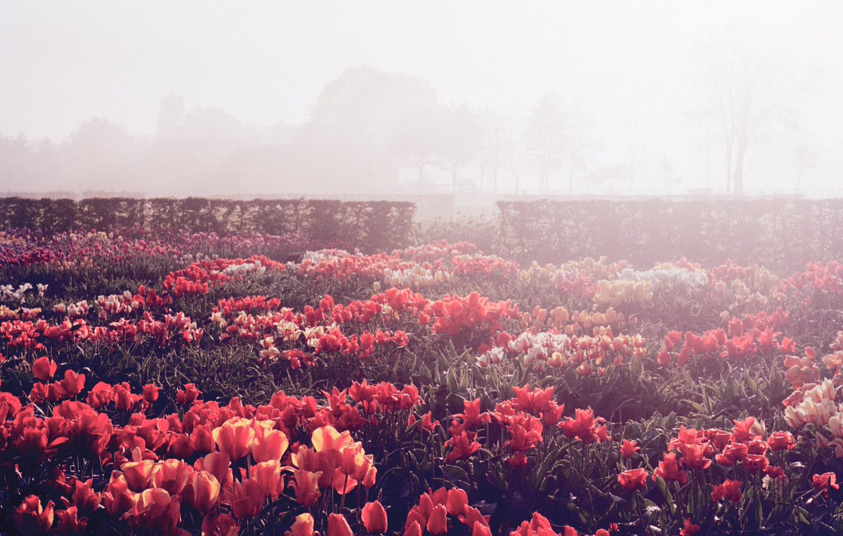 andreagentl's tweet image. BID/ beautiful artwork in support of women's reproductive rights@bytheirfruits.auction @plannedpatenthood @Paddle8