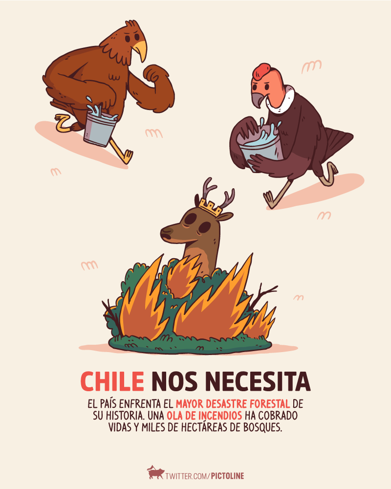 pictoline's tweet photo. #Chile enfrenta el mayor desastre forestal de su historia y necesita nuestra ayuda desafiolevantemoschile.cl https://t.co/soGBenhh9W