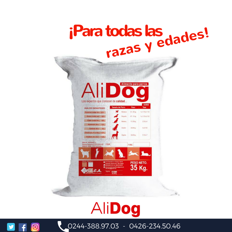 Aba_AliDog's tweet photo. AliDog es una opción de buena alimentación para perros de todas las razas y edades, A tu mascota, dale #AliDog https://t.co/Xz6FSvBQnC
