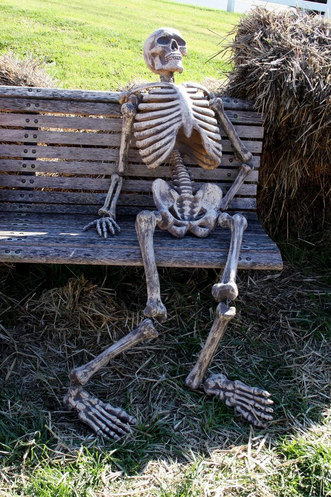 JonathanMansvlt's tweet photo. Waiting for work to rule to end like https://t.co/ULpUM42IDO