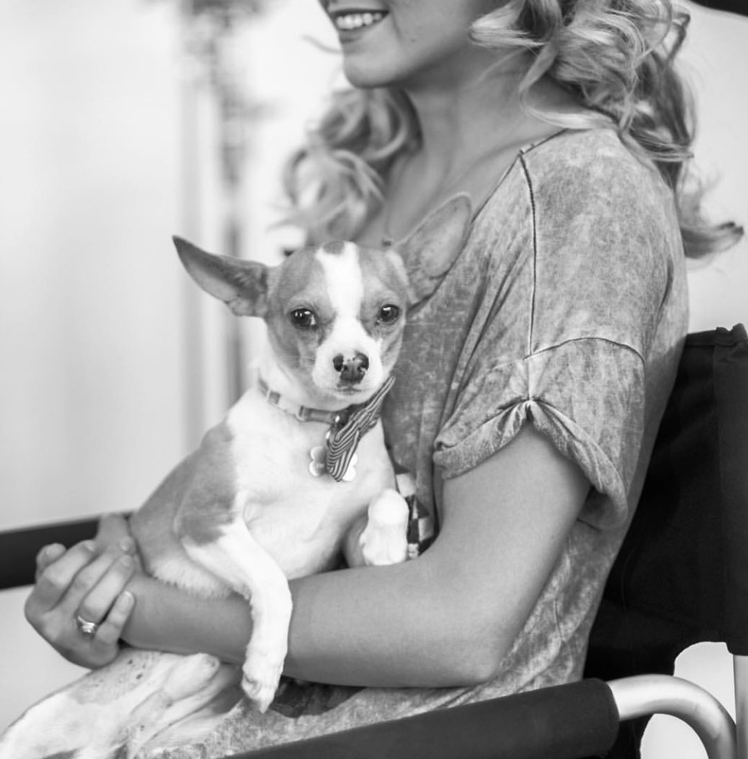 pitdogpete's tweet photo. Me with momma at her photoshoot ... i might have stolen the spotlight a few times 🐶🐕❤ #pitdogpete #adopt #rescue https://t.co/HXPZDj8F5o