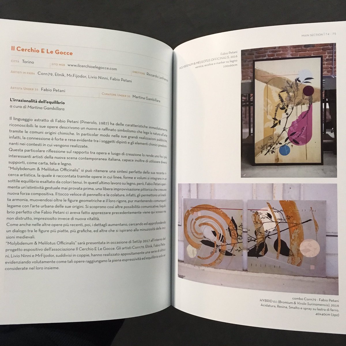 fabiopetaniart's tweet image. #setup17

illusionlab.it