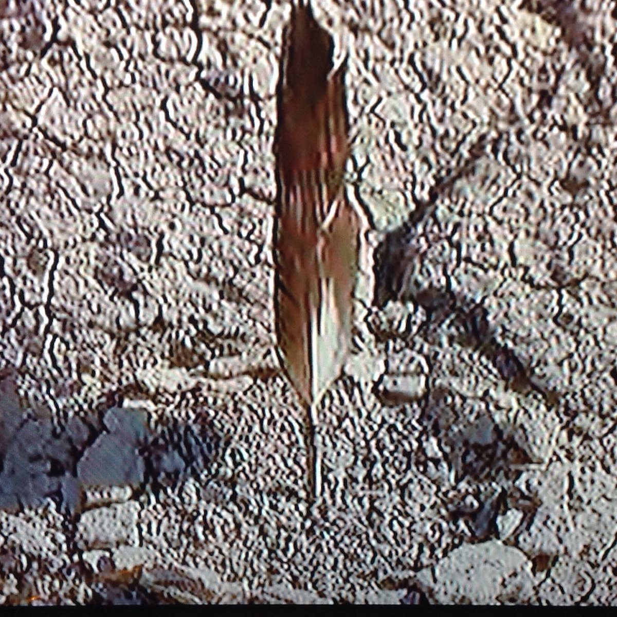 AmericansJohn's tweet image. 