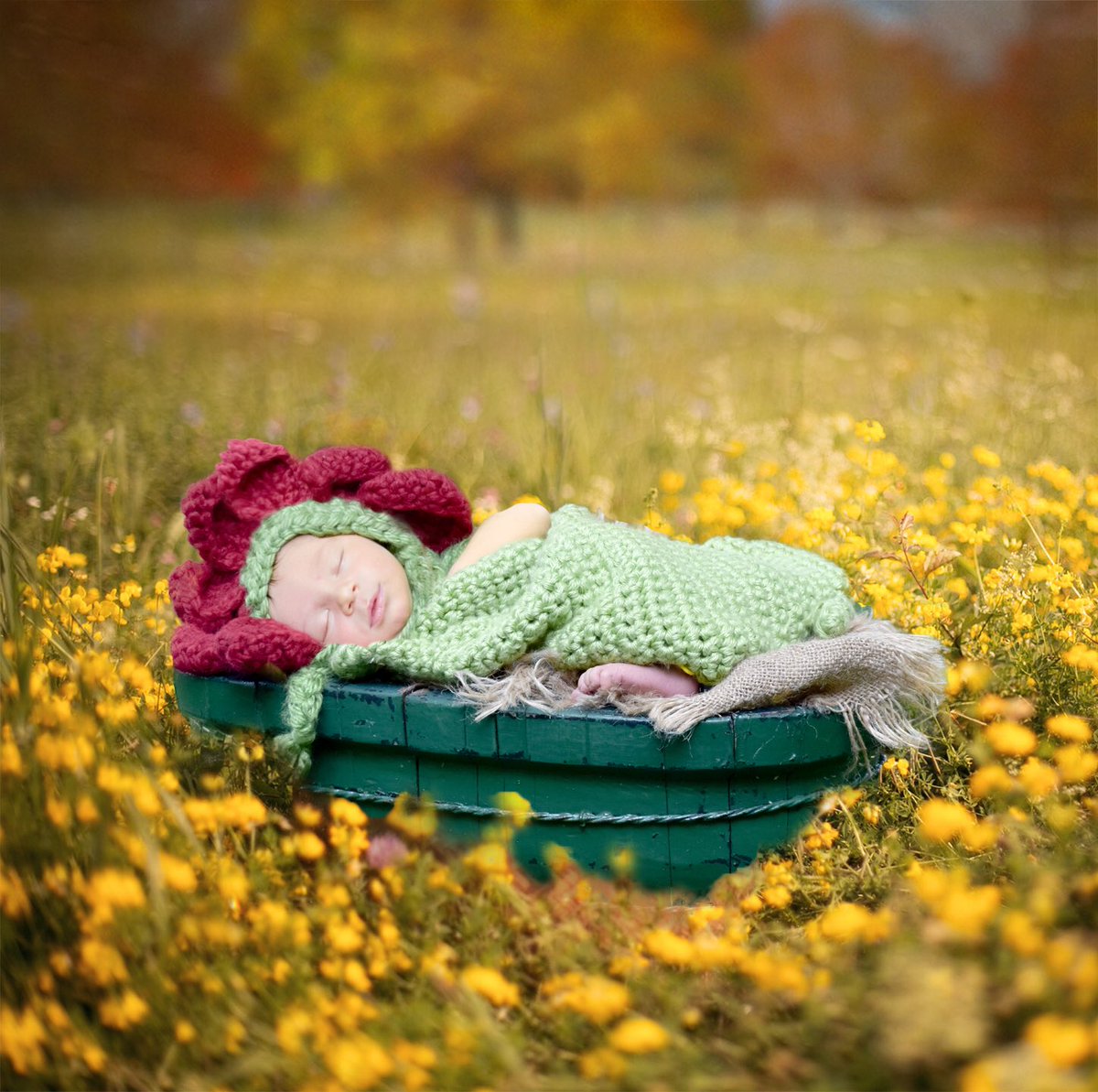 picsoperfect's tweet photo. "To plant a garden is to believe in tomorrow." -Audrey Hepburn
#flowerhat #nothinglikeanewborn #picturesoperfectstudio #ilovemyneice https://t.co/tFtab0NjIH