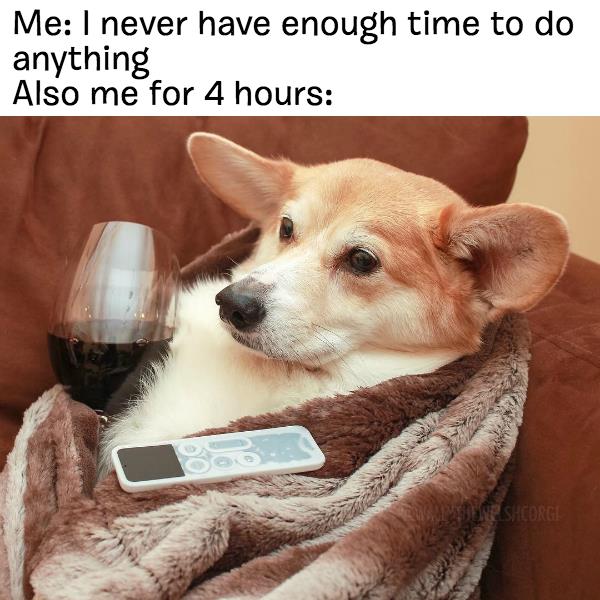 The truth hurts. This is SO me!