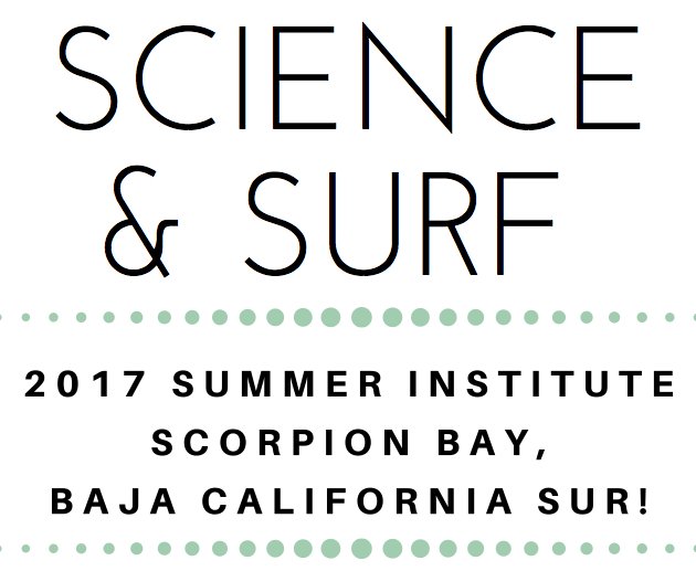 IslandsSeas's tweet photo. Join Us for our 2017 Surf &amp; Science Summer Institutes at Scorpion Bay, Baja California Sur! APPLY AT: https://t.co/wVpRLXNqXM https://t.co/c9xKjcR6bS