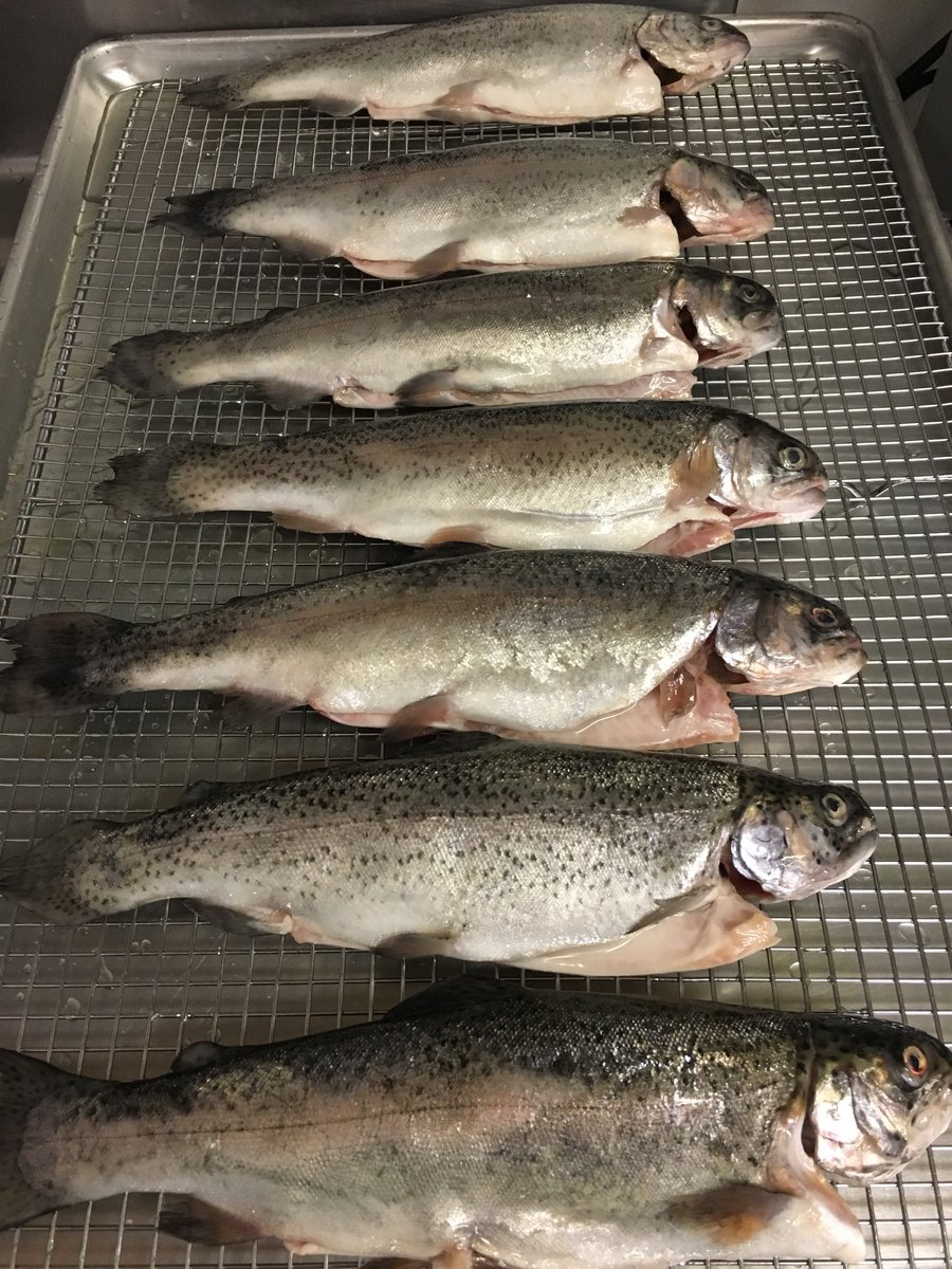 adasonphinney's tweet photo. Whole rainbow trout at Ada’s Restaurant tonight. @adasonphinney https://t.co/PtVyN4W81w