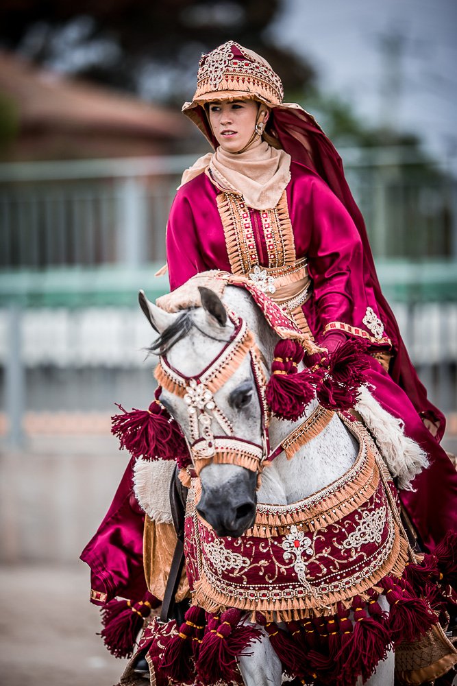 EquiFestAU's tweet photo. Looking forward to our #Arabian competition at EquiFest. Such #beautiful #horses and amazing #costumes. Check out https://t.co/FckaM65bTF https://t.co/miRnmjTZzv