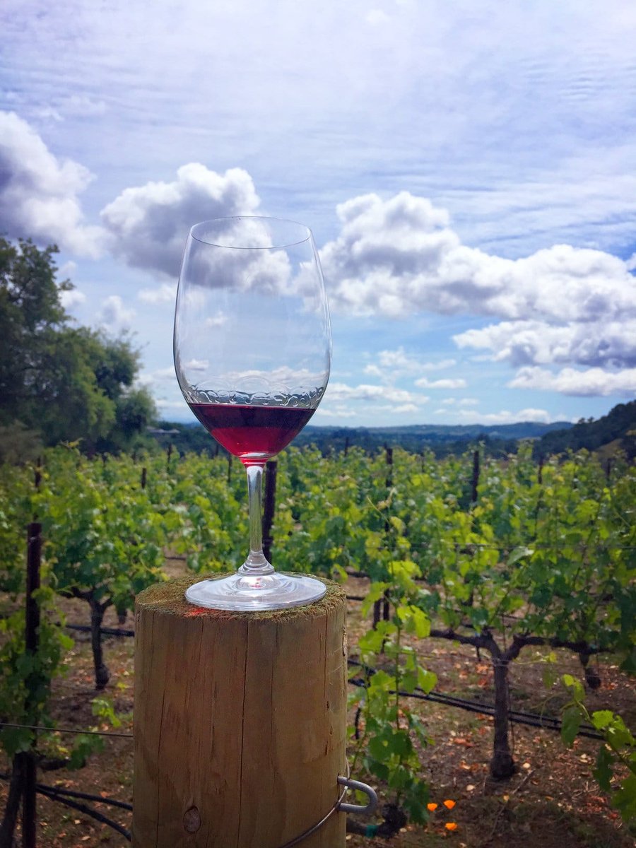 Palate Exposure tweet media