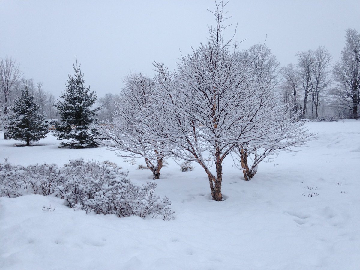 Happy to see the snow again :-). Goodbye ice! #WinterWonderland