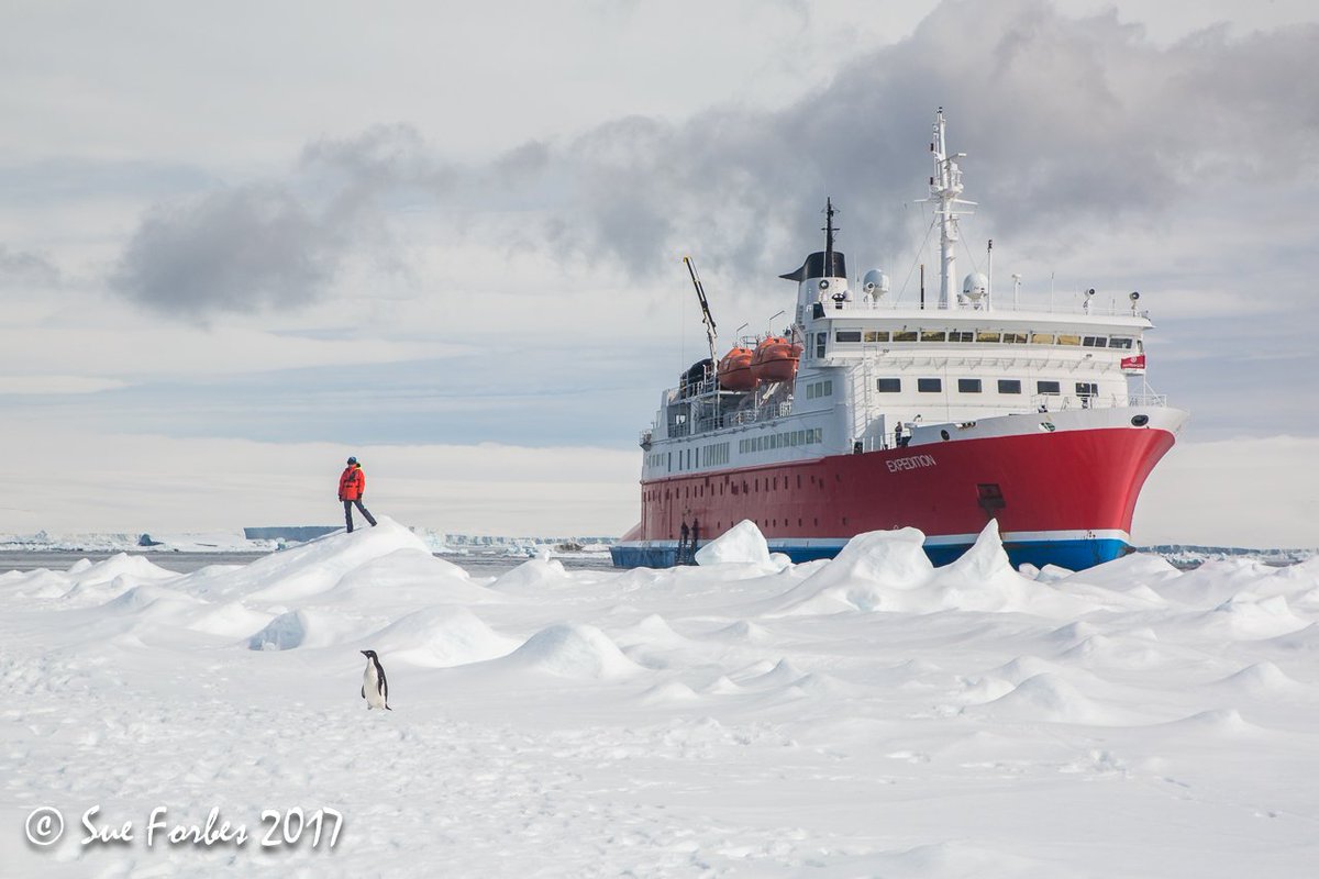 g_expedition's tweet image. Felt like real #explorers walking on the #fastice #Antarcticsound
#comeexplorewithG #Antarctic #gadv @sueforbes
