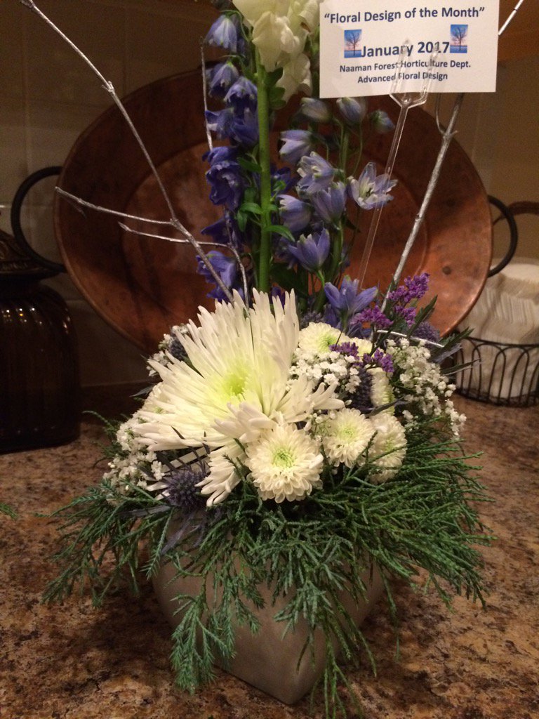 Naaman Forest HS Magnet Programs (@nfhsmagnet) on Twitter photo <a href="/NFHS_Rangers/">Naaman Forest High School</a> another beautiful arrangement from our Horticulture department - so much happening at the Forest <a href="/NFHS_Rangers/">Naaman Forest High School</a> another beautiful arrangement from our Horticulture department - so much happening at the Forest