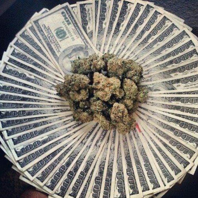 GrowLandiaOFI's tweet photo. Cortar #marihuana y #fumarla te puede hacer millonario - https://t.co/TyPNQCR9wm https://t.co/YyZ6J5wbpA