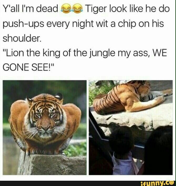 HelloHart's tweet photo. Need to get swol up like this dude lol https://t.co/euXXrG5JOr