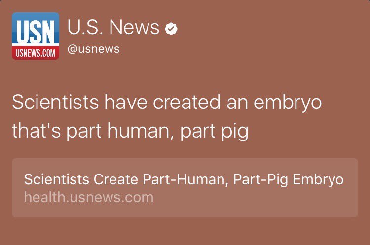 YandereDev's tweet image. Can this technology be used to create human-cat hybrids?

One step closer to genetically engineering catgirls?

Will anime finally be real?!