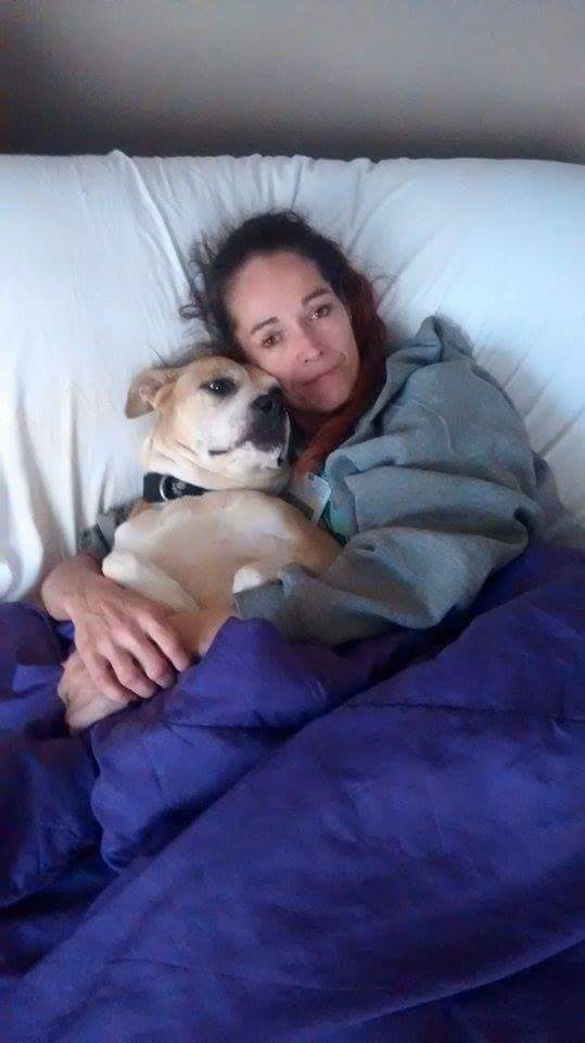pris70's tweet photo. @Zac_Bagans from one animal lover to another.  this is my baby and is now with cancer &amp; can't afford to help her https://t.co/4jfD5wWGC1