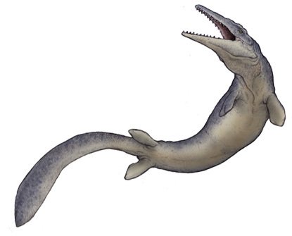 ティロサウルスのtwitterイラスト検索結果 古い順