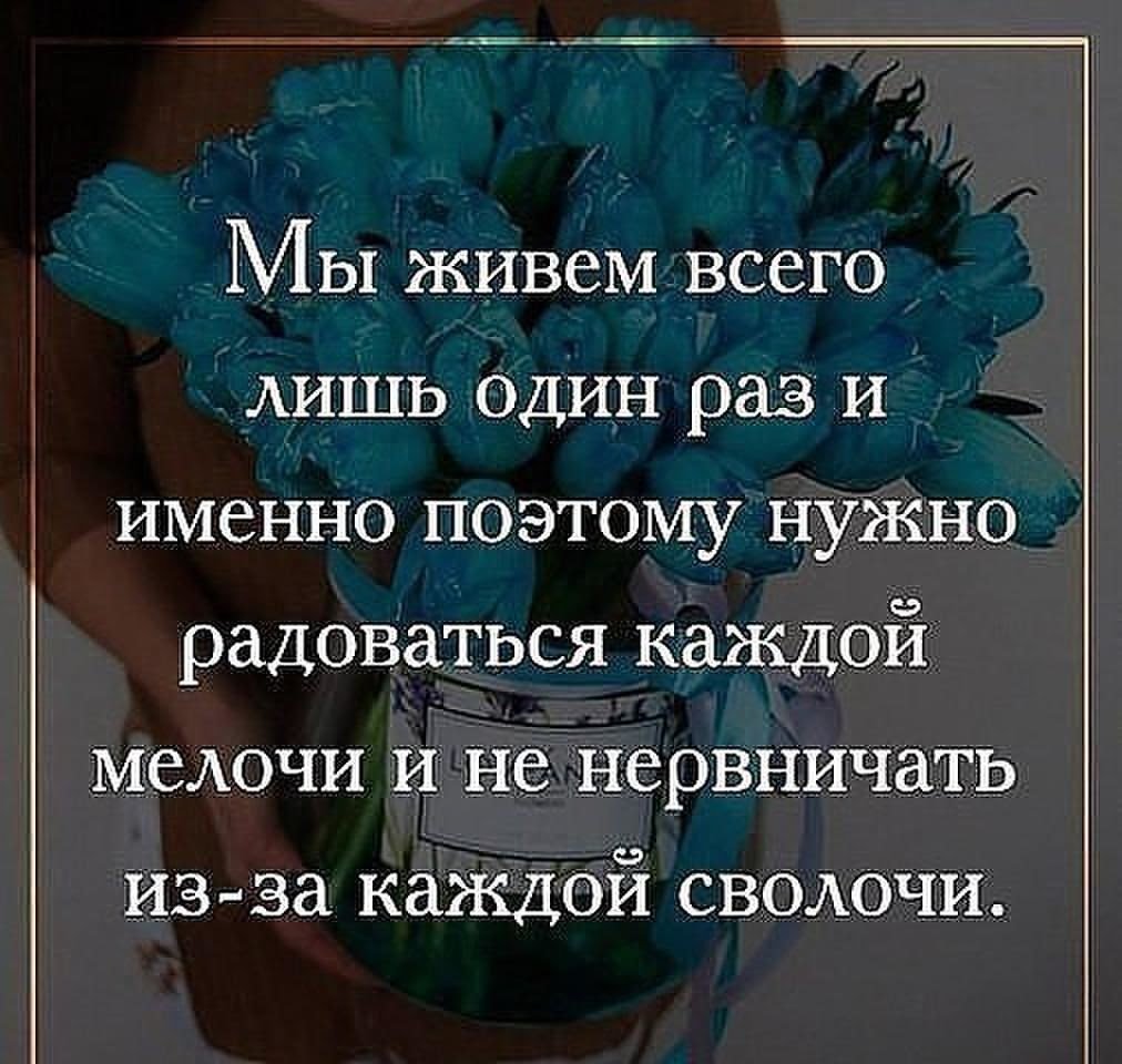Живём один раз цитаты