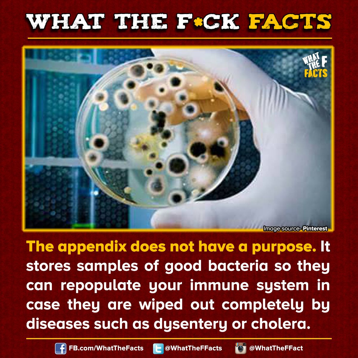 WhatTheFFacts's tweet photo. https://t.co/m4xWGeQbGd
