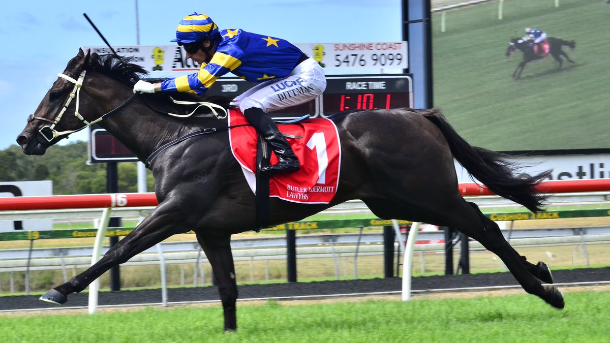 Racing Queensland tweet media