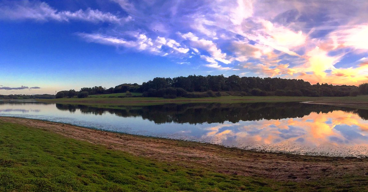 Who's ready for a weekend of exploring #dogfriendly #swisbest