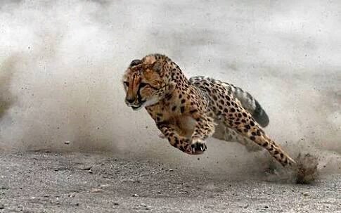 SnrAggrey's tweet photo. @SafaricomLtd data bundles leaving 2 seconds after subscribing. .wananyonya kunyonya.
#worstoption https://t.co/pFAIof9hDG