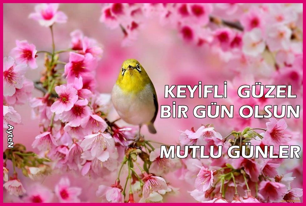 M salim YILDIZ (@2534yildiz) on Twitter photo 