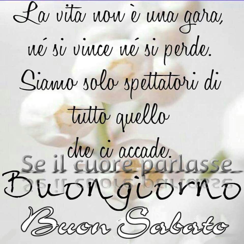 Payero Payero7 Twitter