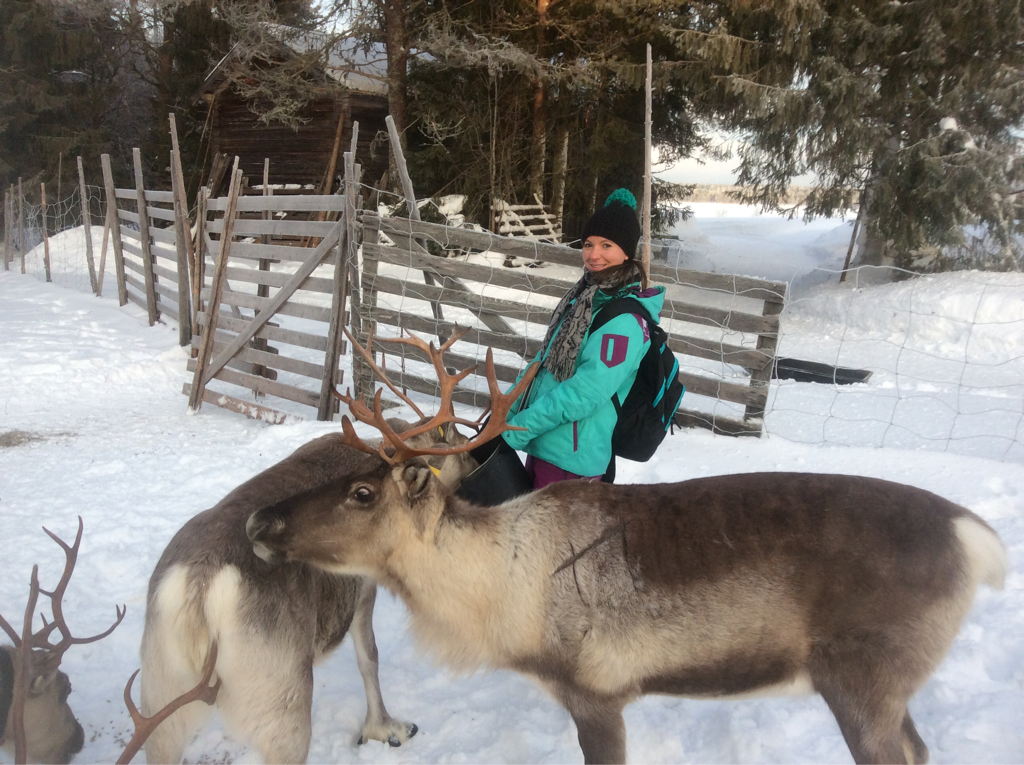 Iso_Syote_ski's tweet photo. What else do you do on a Saturday? Giving Rudolph and his friends their lunch! #OnlyInIso #IsoMoment #Rudolph https://t.co/plePpO4Jax