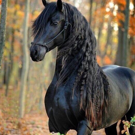 #صورة_ملف_شخصي_جديدة