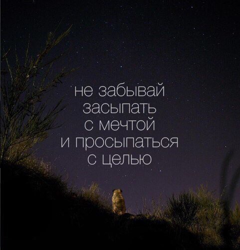 #Мудрость_дня
