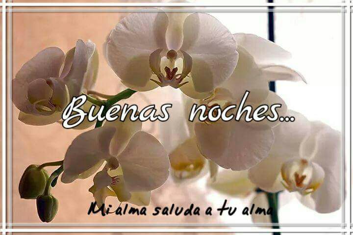 maritorsal's tweet photo. @AhmarHawa @GracejoPadre @leandrojuez @freddypatri @Merlhina @Charo88Alicia Buen descanso Ahmar!!! https://t.co/ZlLknPGXTF