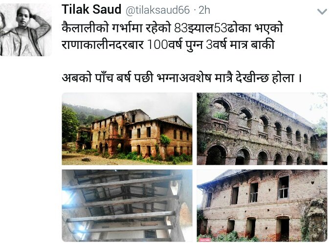 SamridaSindhuli's tweet image. कैलालीमा राणाकालीनदरबार अहिलेसम्म यो अवस्थामा रहेछ।स्थानीय साथीहरू संरक्षणमा सक्रिय हुनुस।पछि पछुताउनुको विकल्प रहने छैन।हाम्रो सहयोग रहनेछ।