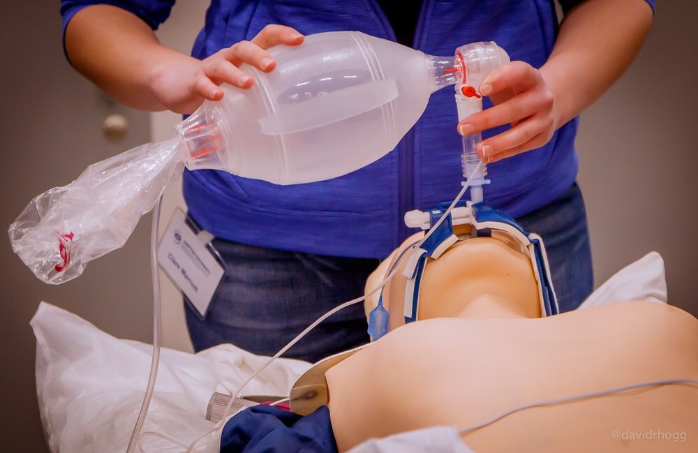 David Hogg tweet media