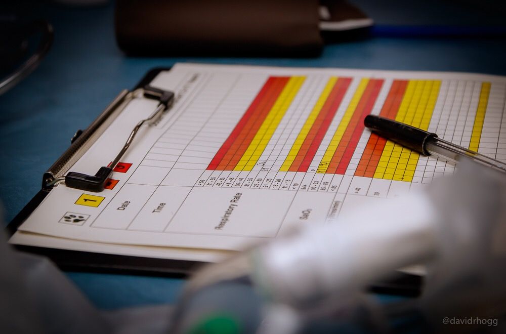 David Hogg tweet media