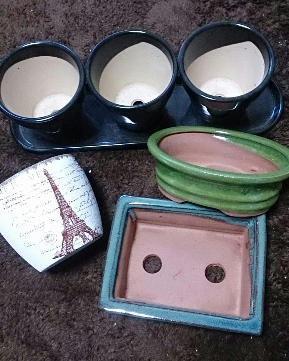 国内の 同様の 性的 ダイソー 植木鉢 盆栽 Chichibuno Soba Com