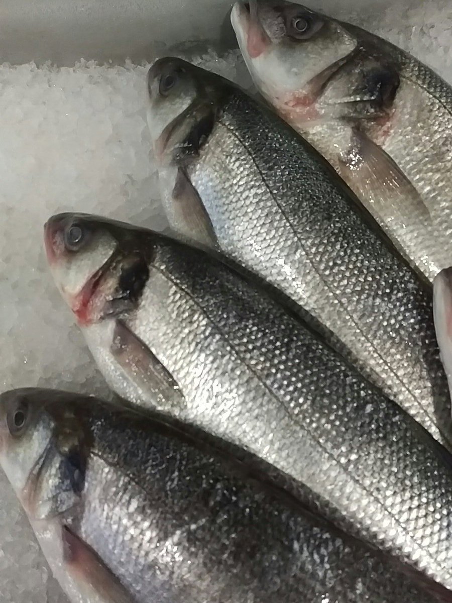 cranleighfish tweet picture