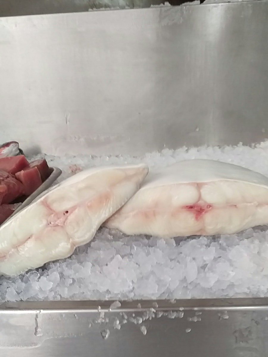 cranleighfish tweet picture