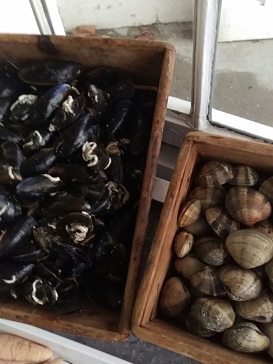 Saturday treats include wild bass , day boat turbot , halibut and @foweyseafarms  mussels and palourde clams  #eatmorefish #shoplocal