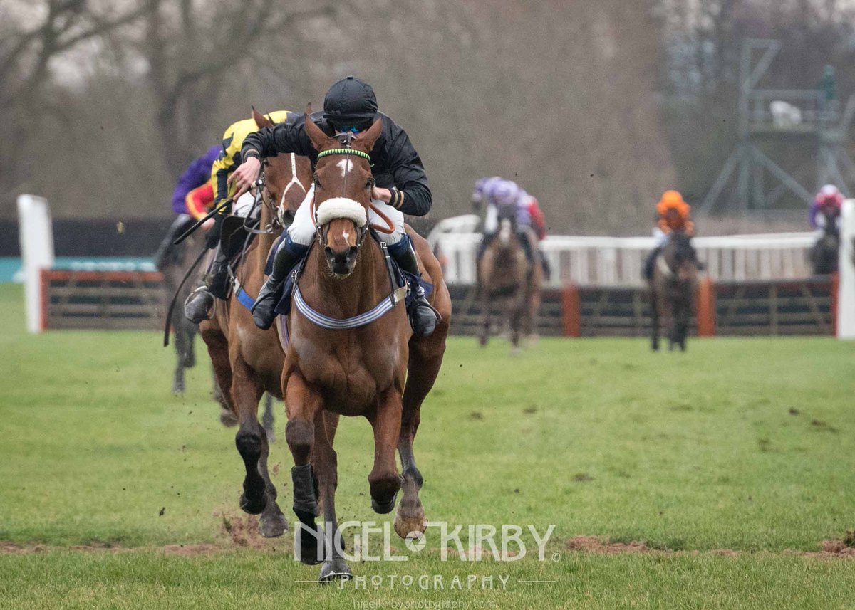 Nigel Kirby Photography tweet media