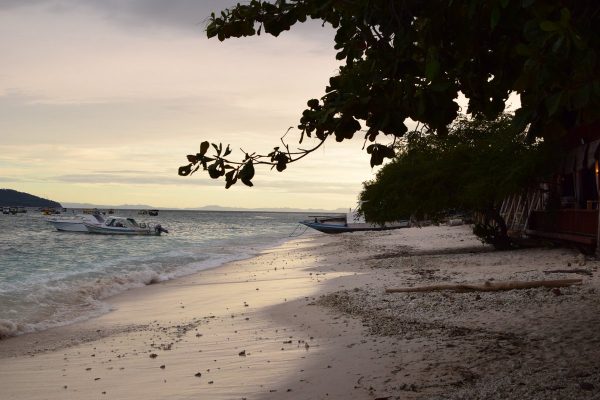 export_mike's tweet image. Flying to Australia soon! #Bali has been incredible! #turtles #sun #paradise I&apos;ll be looking for a job soon! anyone want to hire me in Syd?