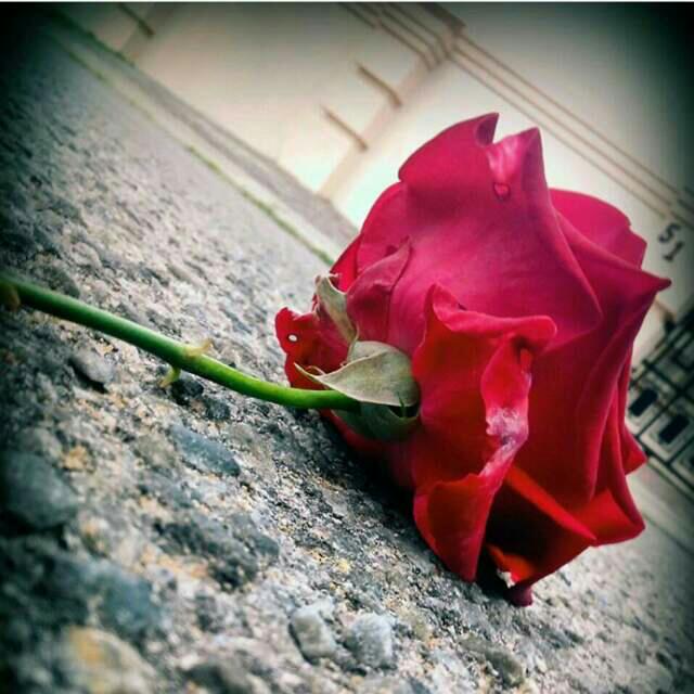 LeQuan_SA's tweet photo. There's always time for #Love https://t.co/z402jwTQUz