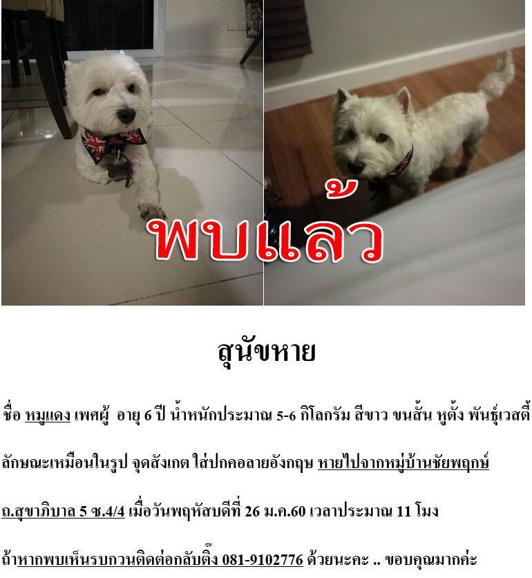 js100radio's tweet image. พบแล้ว"หมูแดง" หายจากบ้านเมื่อ 26 ม.ค. วันนี้เดินกลับมาบ้านเองเมือ 14:00 
#MissUniverse  #Thailand