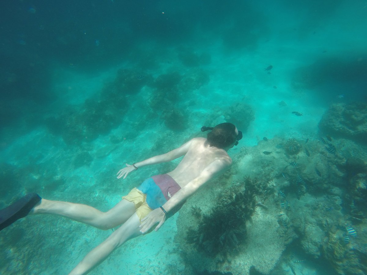 export_mike's tweet image. Flying to Australia soon! #Bali has been incredible! #turtles #sun #paradise I&apos;ll be looking for a job soon! anyone want to hire me in Syd?